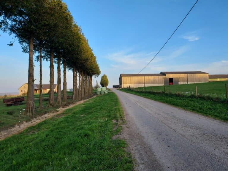 Ti Glujau hangar et maison - Contact