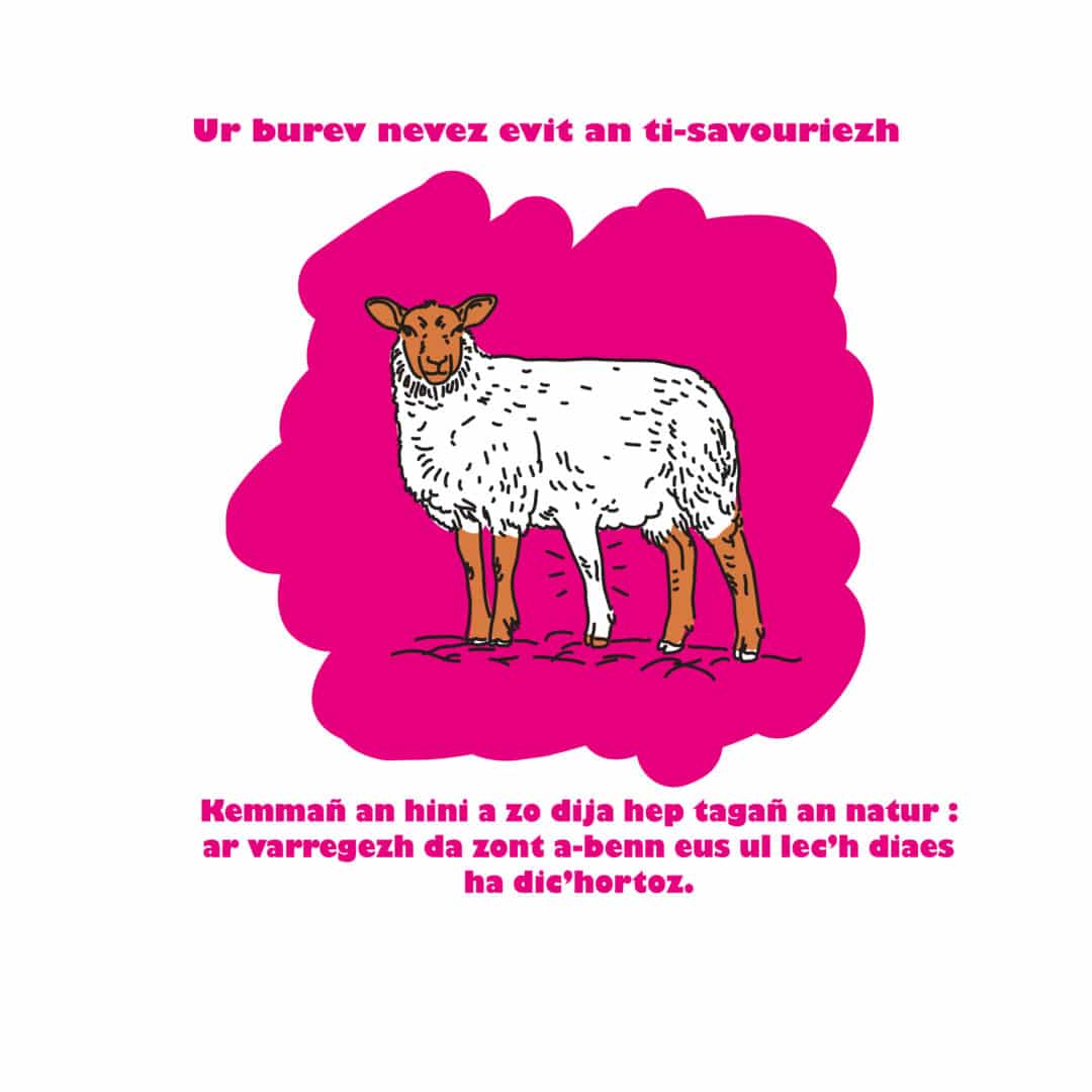 LeilaHenry_Illustration_Achat e brezhonneg